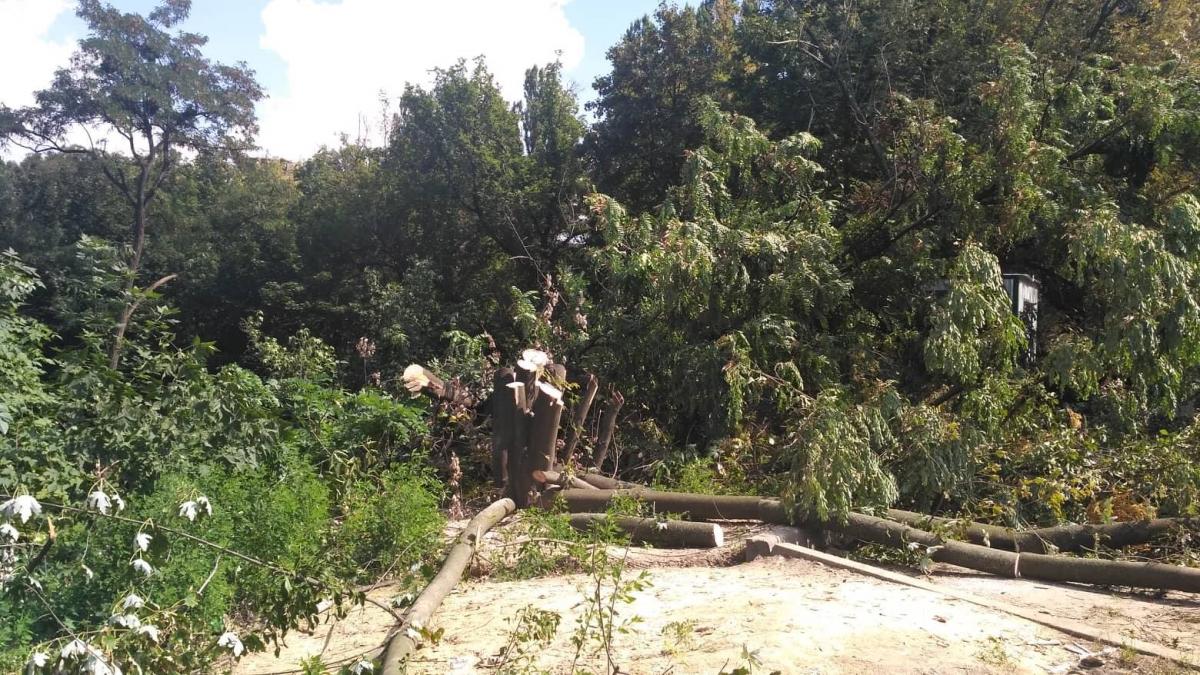 Активісти заявляють, що схил без дерев може сповзти, що призведе до катастрофи